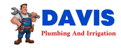 Trusted plumber in MANZANOLA